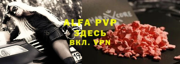 тгк Абаза