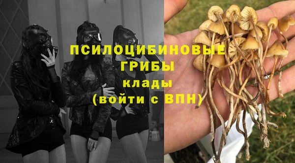 бошки Приозерск