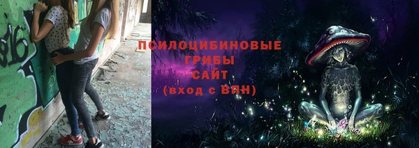 2c-b Алексеевка